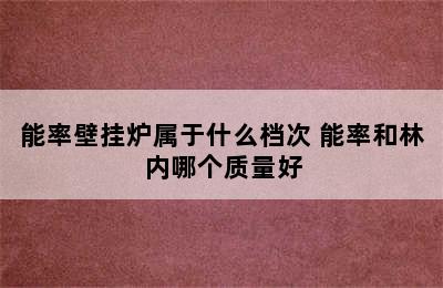 能率壁挂炉属于什么档次 能率和林内哪个质量好